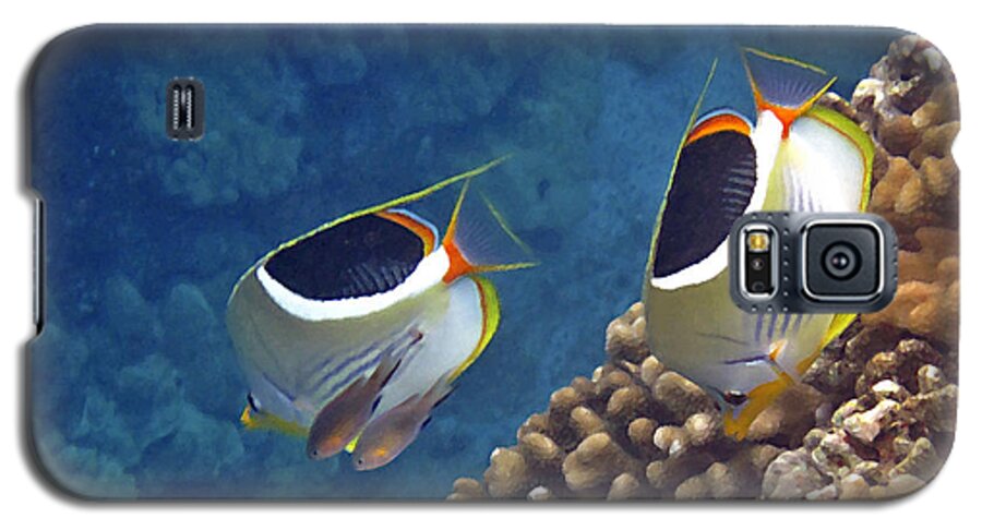 Tropical Fish Galaxy S5 Case featuring the photograph Saddleback Butterflyfish by Bette Phelan