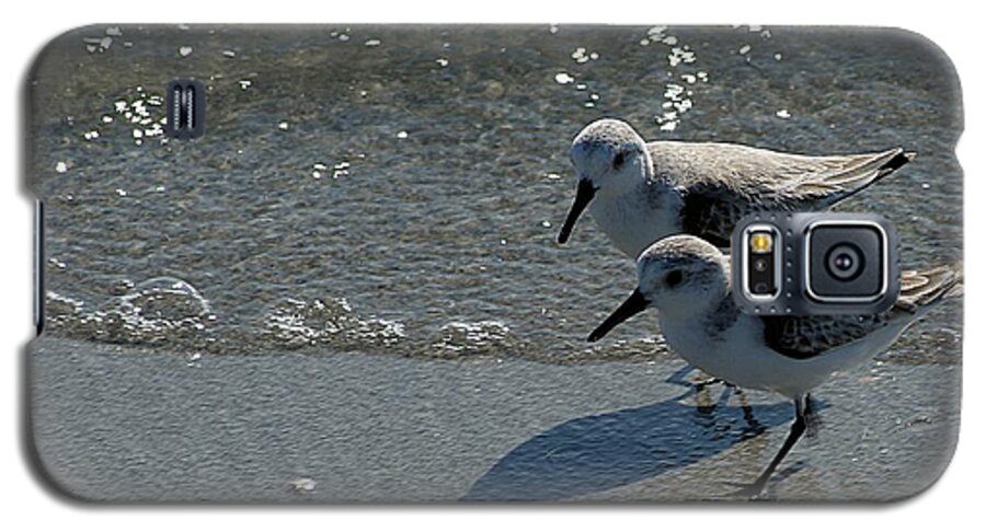 Sandpiper Galaxy S5 Case featuring the photograph Sandpiper 5 by Joe Faherty