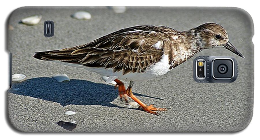 Sandpiper Galaxy S5 Case featuring the photograph Sandpiper 9 by Joe Faherty