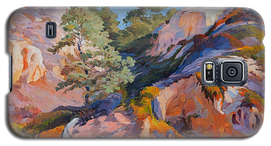 Oil Painting Galaxy S5 Case featuring the painting Sandstone Canyon at Torrey Pines by Judith Barath