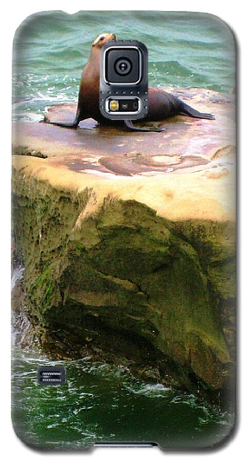 Seal Galaxy S5 Case featuring the photograph Seal Rock by Sue Halstenberg