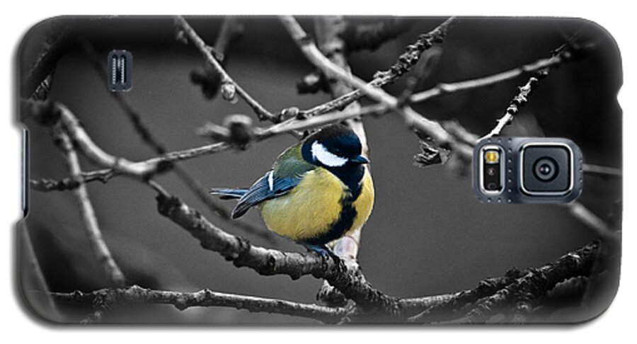 Chris Galaxy S5 Case featuring the photograph Selective Bird by Chris Boulton