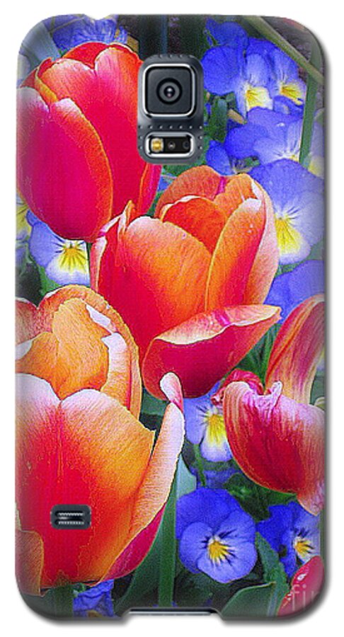 Tulips Galaxy S5 Case featuring the photograph Shining Bright by Rory Siegel
