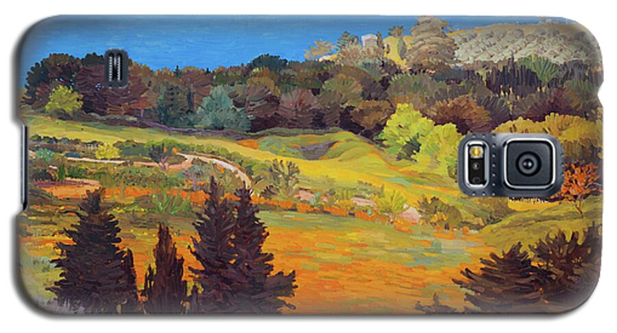Landscape Galaxy S5 Case featuring the painting Sicily Landscape by Judith Barath
