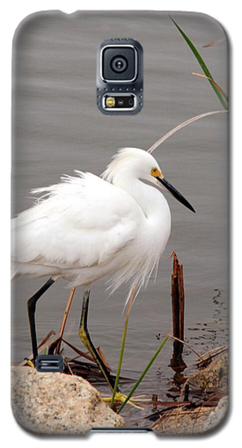Snowy Egret Galaxy S5 Case featuring the photograph Snowy Egret by Kay Lovingood