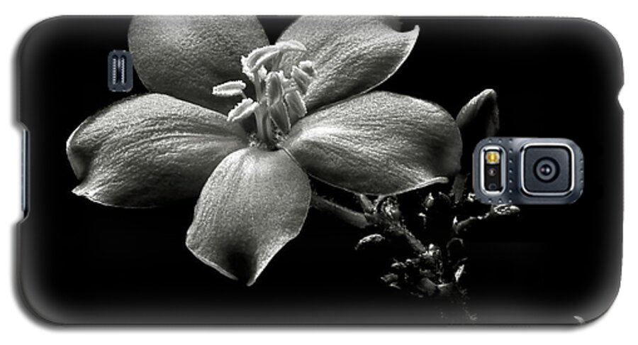 Flower Galaxy S5 Case featuring the photograph Spicy Jatropha in Black and White by Endre Balogh