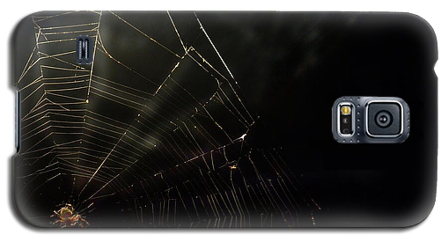 Spider Galaxy S5 Case featuring the photograph Spider by La Dolce Vita