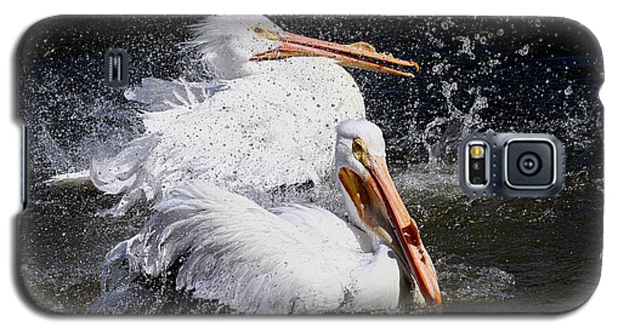 Pelicans Galaxy S5 Case featuring the photograph Splish Splash by Elizabeth Winter