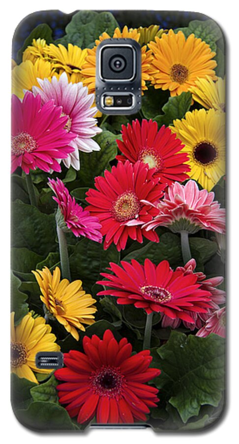 Colors Galaxy S5 Case featuring the photograph Spring colors by Raffaella Lunelli