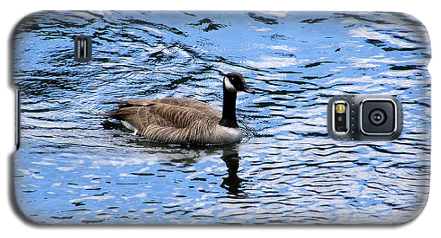 Goose Canvas Prints Galaxy S5 Case featuring the photograph Spring Goose by Wendy McKennon