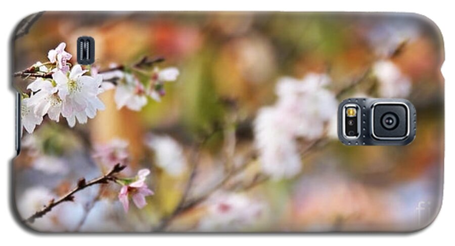 Blossoms Galaxy S5 Case featuring the photograph Spring in Autumn by Eena Bo