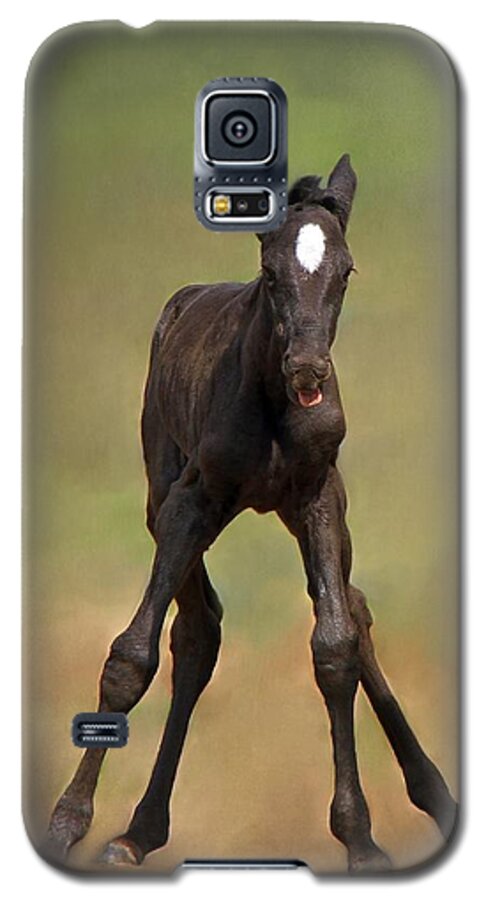 Animal Galaxy S5 Case featuring the photograph Standing On All Fours by Davandra Cribbie