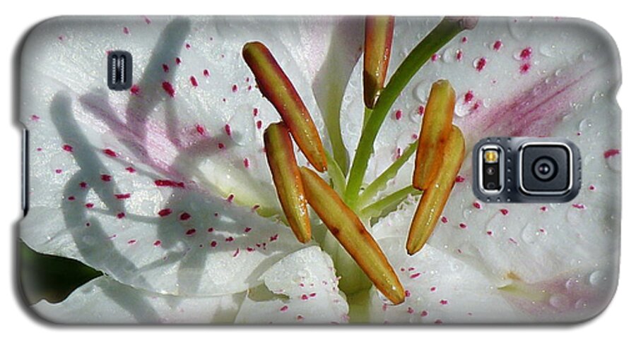 Lily Galaxy S5 Case featuring the photograph Stargazer Lily by Lynn Bolt
