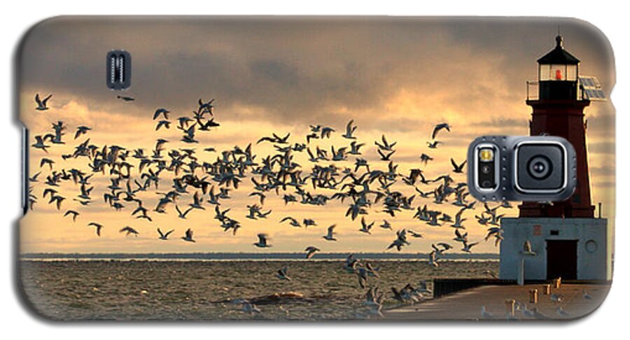  Galaxy S5 Case featuring the photograph Sunrise Seagulls 219 by Mark J Seefeldt