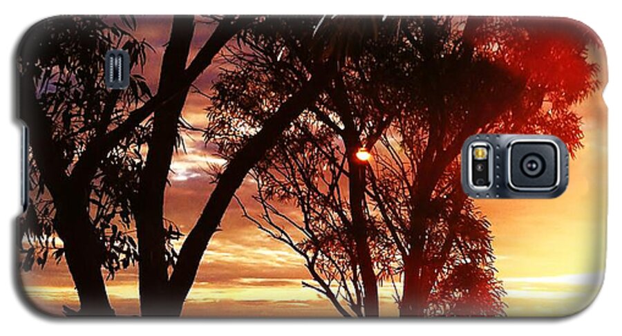 Australia Galaxy S5 Case featuring the photograph Sunset through the trees by Blair Stuart