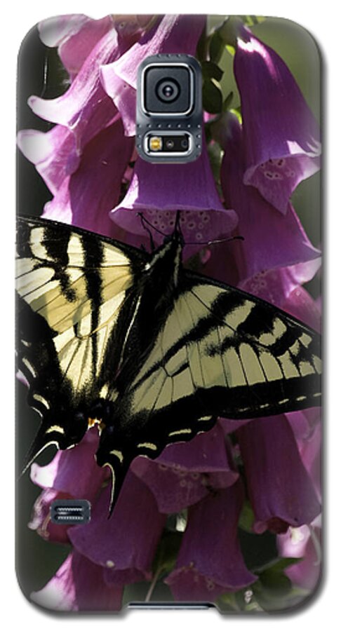 Butterfly Galaxy S5 Case featuring the photograph Swallowtail and Foxglove by Betty Depee