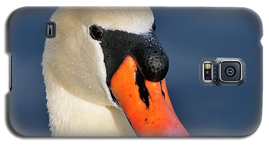 Mute Galaxy S5 Case featuring the photograph Swan by Bill Dodsworth