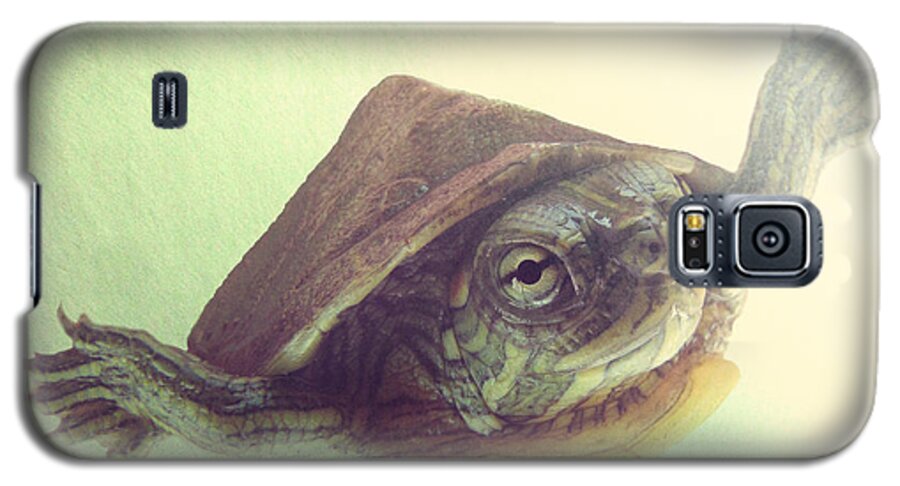 Turtle Galaxy S5 Case featuring the photograph Swimming Lesson by Amy Tyler