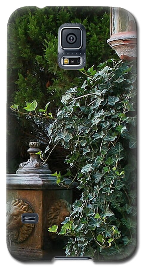 Plant Galaxy S5 Case featuring the photograph The Garden by Karen Harrison Brown