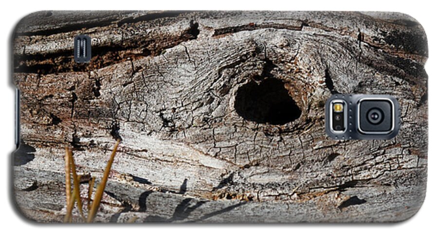 Nature Galaxy S5 Case featuring the photograph The Knot by Todd Blanchard