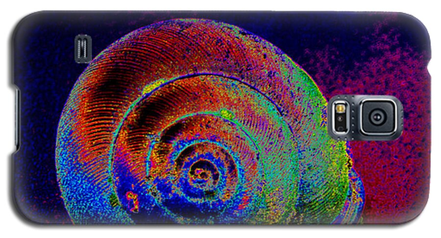 the Painted Shell Galaxy S5 Case featuring the photograph The Painted Shell by Kimmary MacLean