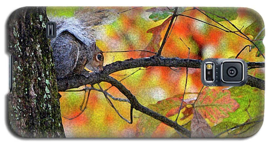 Squirrel Galaxy S5 Case featuring the photograph The Squirrel Umbrella by Paul Mashburn