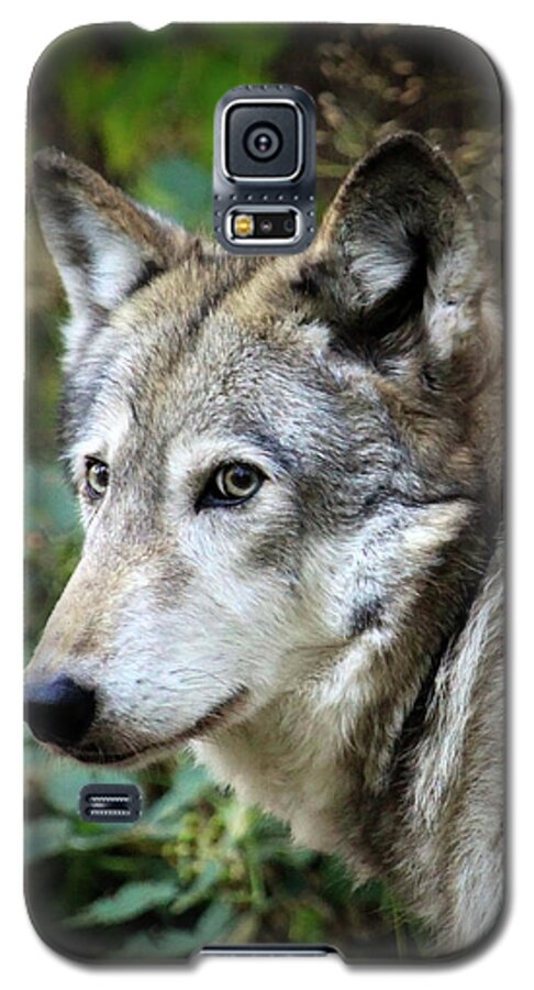Wolf Galaxy S5 Case featuring the photograph The Wolf by Steve McKinzie