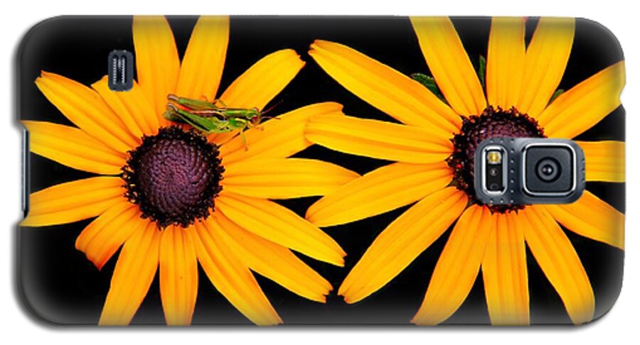Yellow Galaxy S5 Case featuring the photograph The Yellow Rudbeckia by Davandra Cribbie