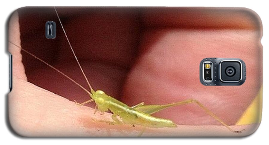 Webstagram Galaxy S5 Case featuring the photograph Tiny Grasshopper by Cameron Bentley