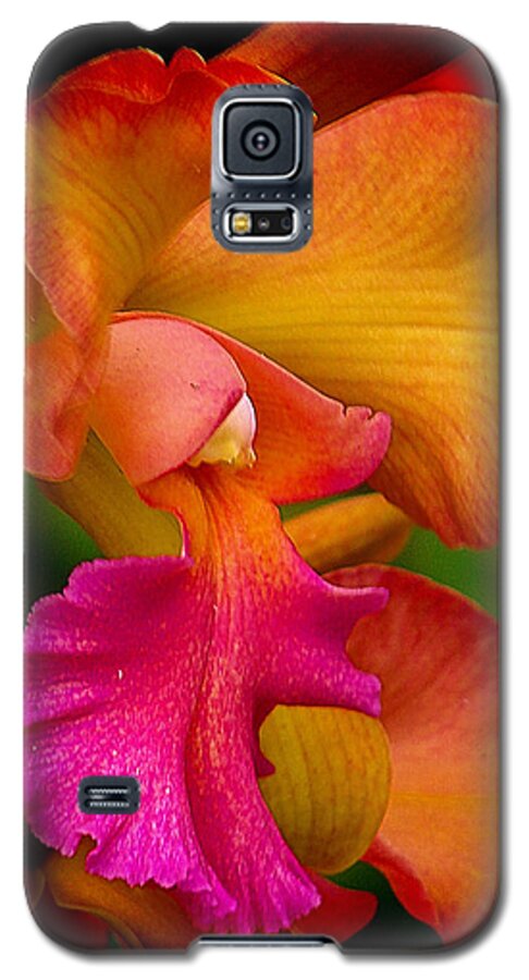 Orchid Galaxy S5 Case featuring the photograph Tropical Splendor by Blair Wainman
