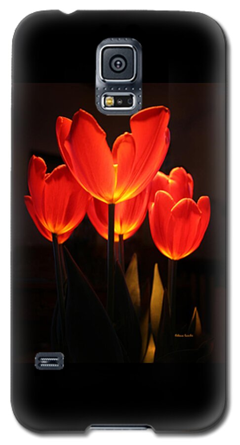 Tulip Galaxy S5 Case featuring the photograph Tulips by Rebecca Samler