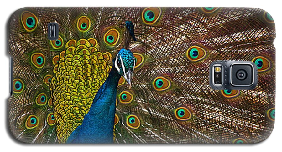 Peacock Galaxy S5 Case featuring the photograph Turquoise And Gold Wonder by Byron Varvarigos