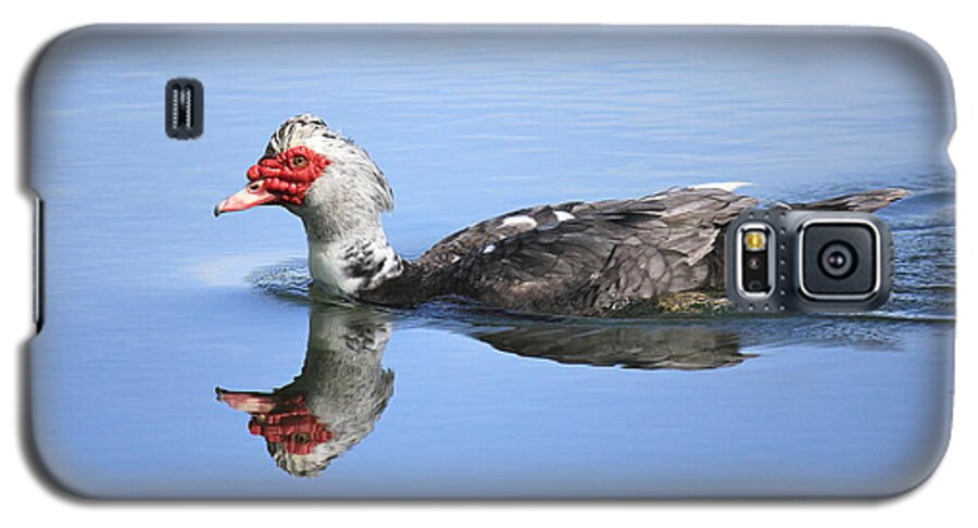 Muscovy Duck Galaxy S5 Case featuring the photograph Ugly Duckling by Penny Meyers