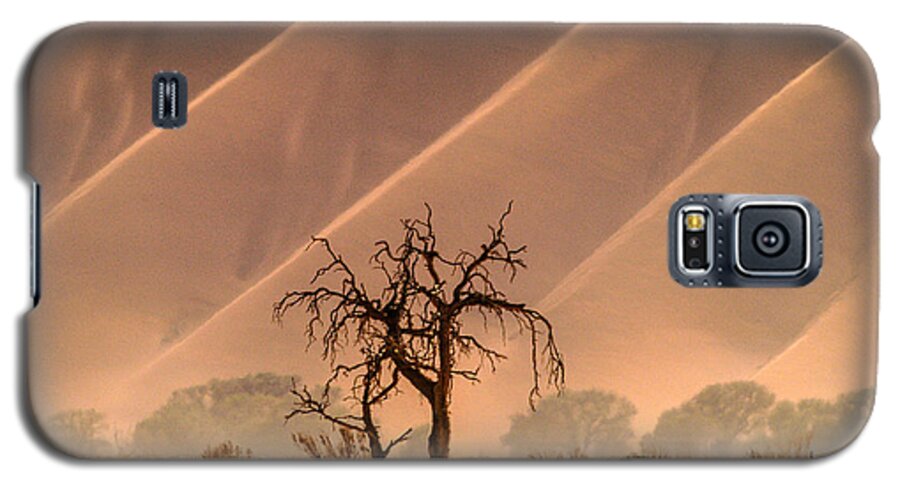 Africa Galaxy S5 Case featuring the photograph Wave tree by Alistair Lyne