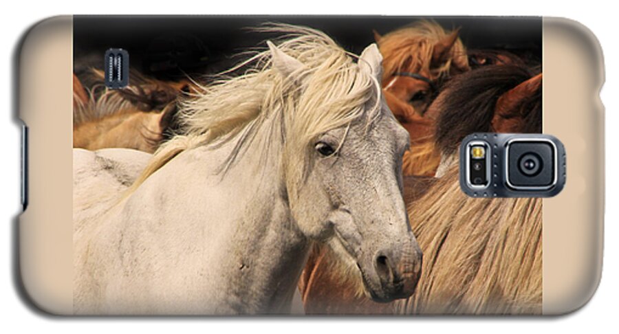 Horse Galaxy S5 Case featuring the photograph White Icelandic Horse by Tom and Pat Cory