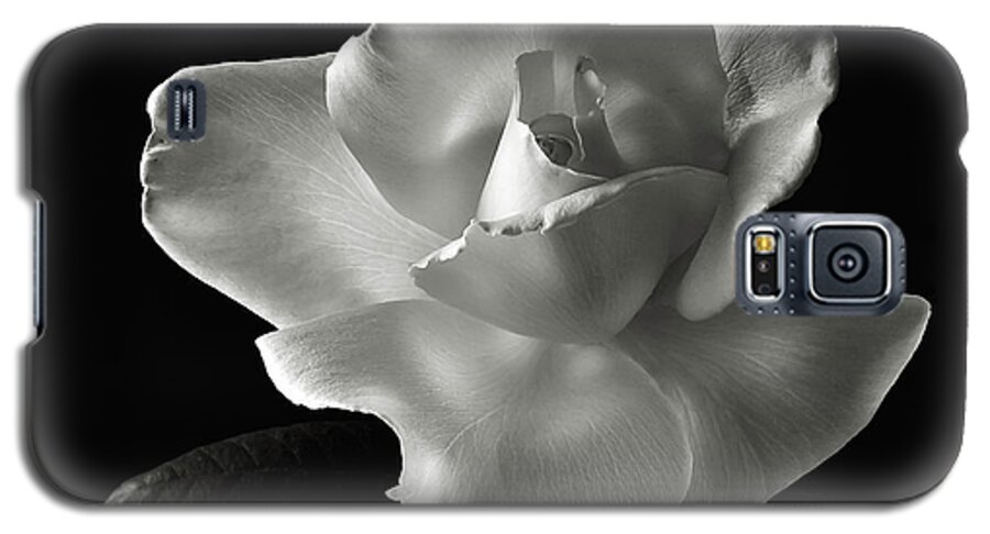Flower Galaxy S5 Case featuring the photograph White Rose in Black and White by Endre Balogh