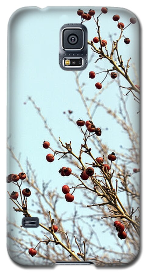 Blue Galaxy S5 Case featuring the photograph Winter's end by Cindy Garber Iverson