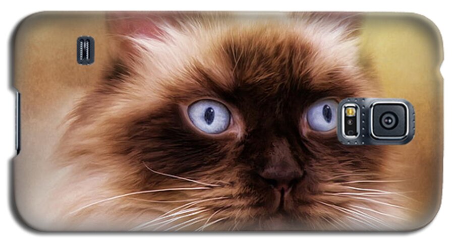 Cat Galaxy S5 Case featuring the digital art Ragdoll Cat by Trudi Simmonds