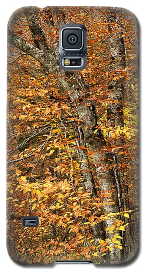 Autumn Galaxy S5 Case featuring the photograph Autumn Colors #1 by Andrew Soundarajan