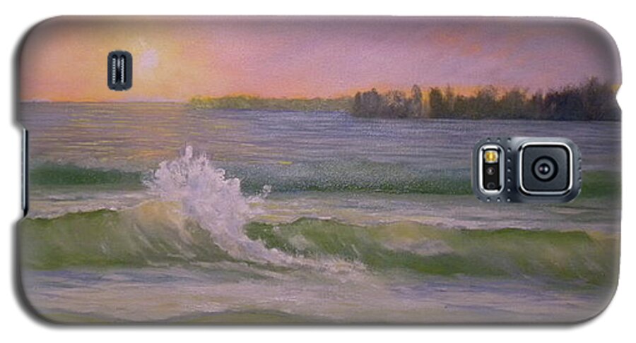 Beach Landscape Seascape Ocean Waves Sky Sun Maine Pemaquid Galaxy S5 Case featuring the painting Beach Day #1 by Scott W White