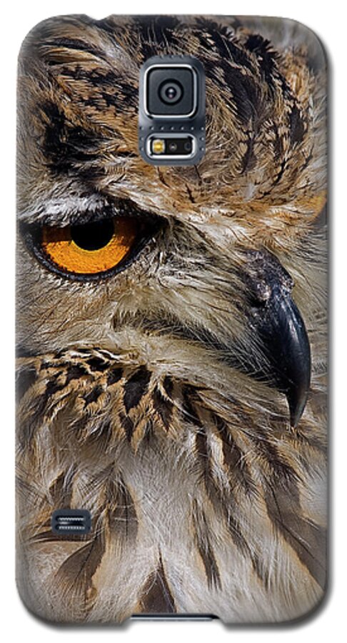 Bengal Eagle Owl Galaxy S5 Case featuring the photograph Bengal Eagle Owl #1 by JT Lewis