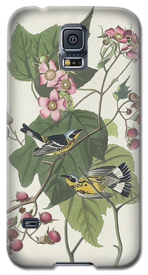 Audubon Galaxy S5 Case featuring the drawing Black and Yellow Warbler #1 by Dreyer Wildlife Print Collections 
