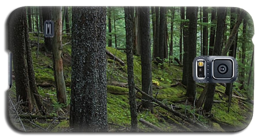 British Columbia Galaxy S5 Case featuring the photograph British Columbia Forest #1 by Ryan Heffron