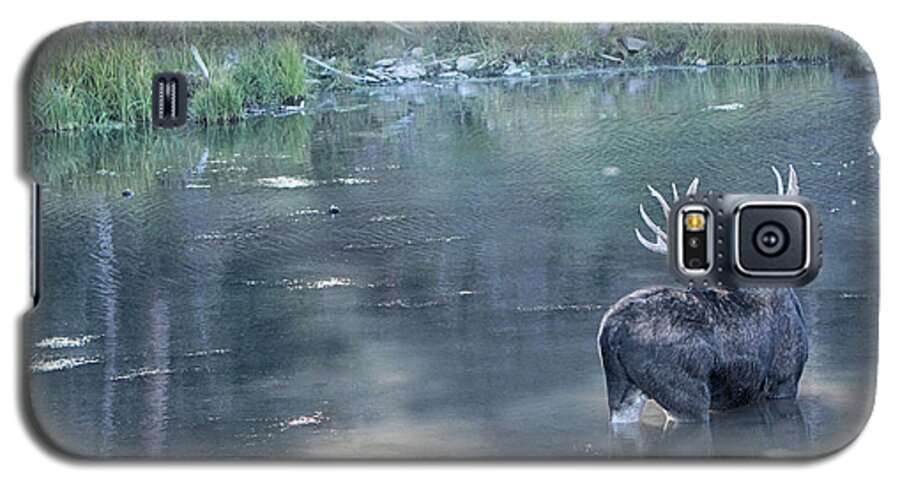 Bull Moose Galaxy S5 Case featuring the photograph Bull Moose Reflection #1 by Marta Alfred