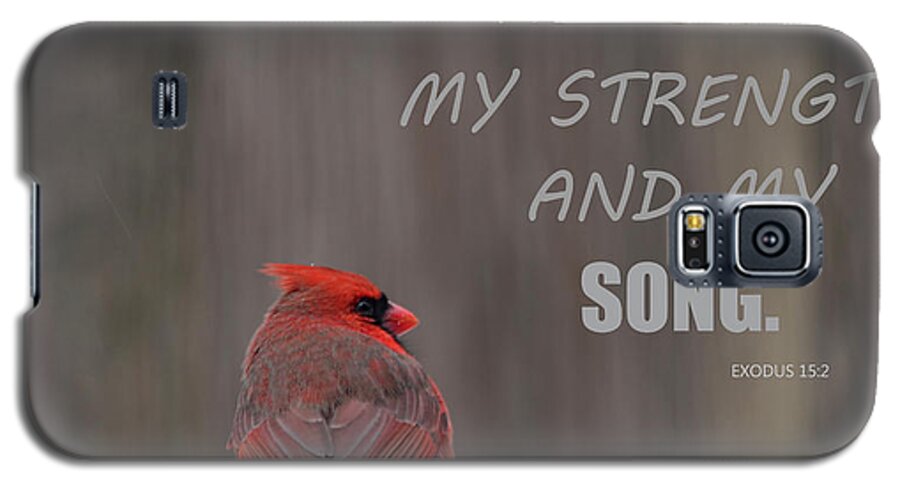Northern Cardinal Galaxy S5 Case featuring the photograph Cardinal In The Snowstorm With Scripture by Sandi OReilly