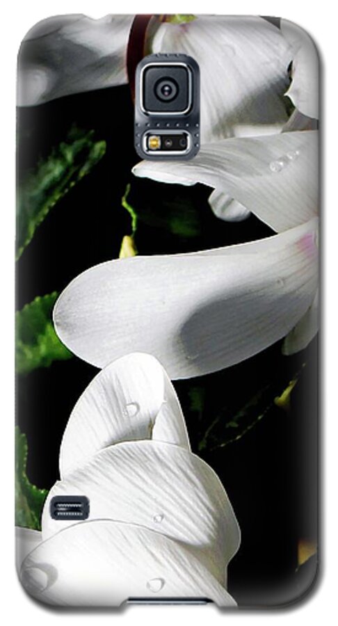 Cyclamen Galaxy S5 Case featuring the photograph Cyclamen #1 by Mindy Newman