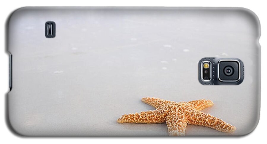 Destin Galaxy S5 Case featuring the photograph Destin Florida Miramar Beach Starfish #1 by Robert Bellomy