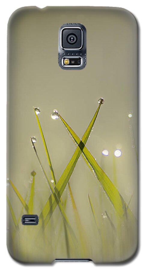 Dew Galaxy S5 Case featuring the photograph Dew on Grass #1 by Veli Bariskan