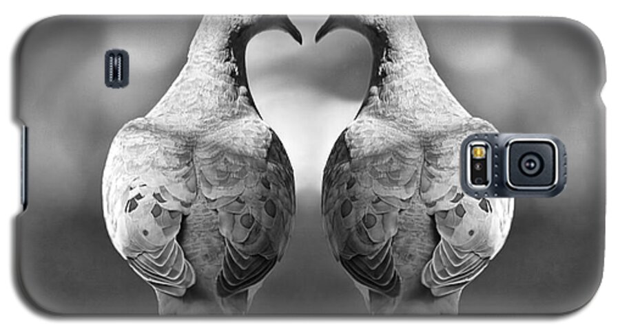 Art Galaxy S5 Case featuring the photograph Dove Birds #1 by Randall Nyhof