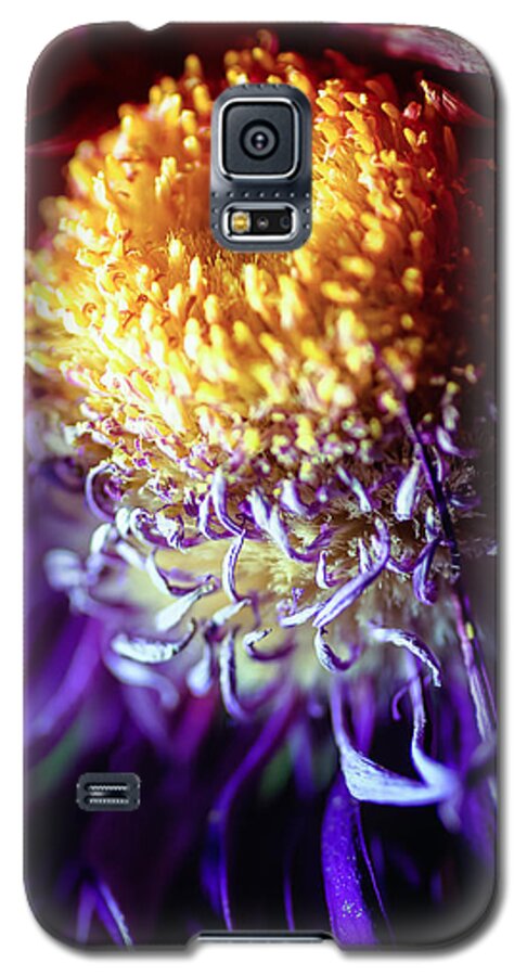 Chrysanthemum Galaxy S5 Case featuring the photograph Dying Purple Chrysanthemum Flower Background #1 by John Williams